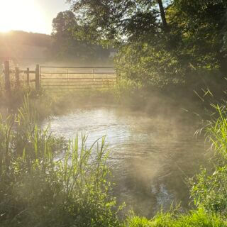 Good news for chalk streams