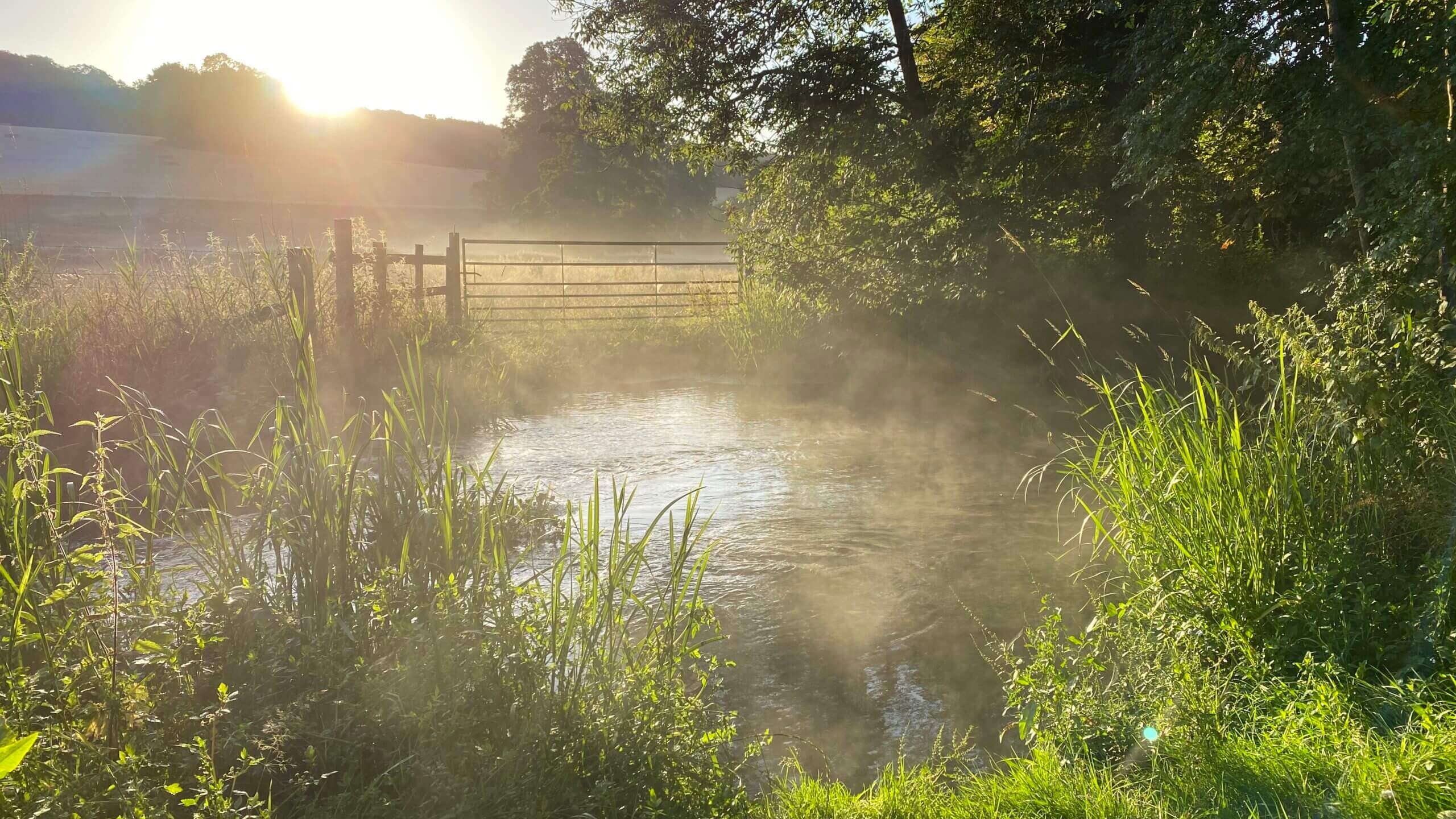 Chalk Streams Protecting the Chilterns' globally rare chalk streams