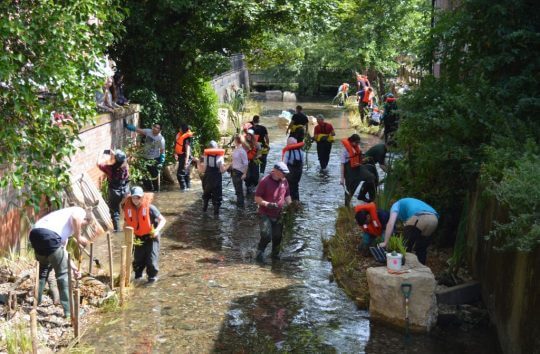 People assisting in river restoration in River Wye, High Wycombe