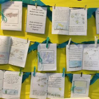 Chalk Streams Project Education Update