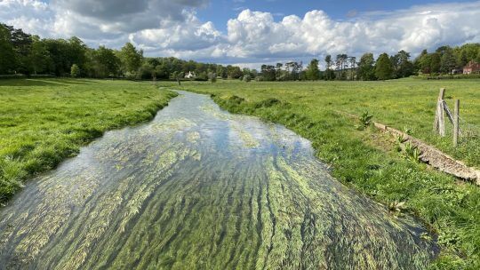 Winterbourne Management Guidance