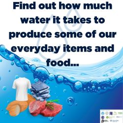 Find out how much water it takes to produce some of our everyday items and food...