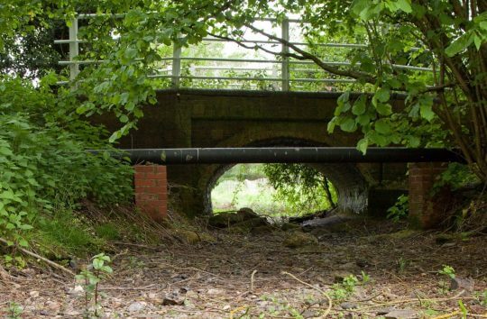 A dry stretch of the River Ver during a period of low flows