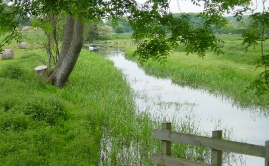 MISBOURNE UPSTREAM OF SHARDLOES MAY 2003