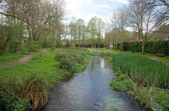 Meades Water Garden After