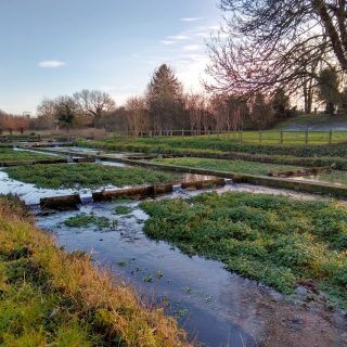 Enhancing the Ewelme Brook