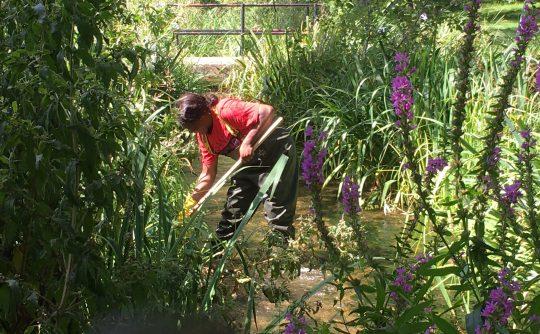 Volunteer carrying out Riverfly monitoring on the River Wye