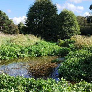 Rivers Week: how did it go?