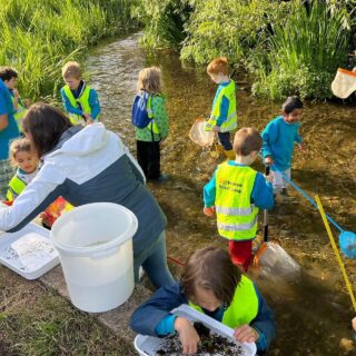 Update on Chesham Moor
