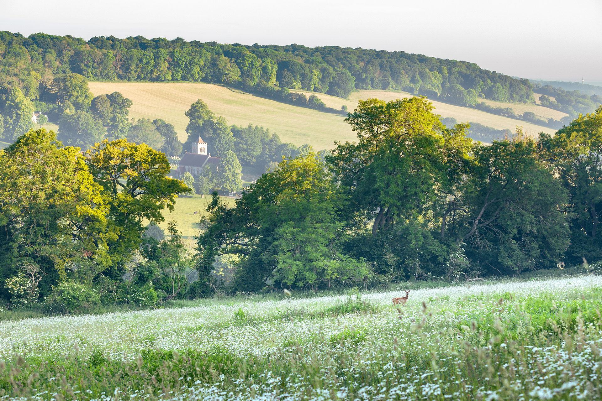 Hughenden-Valley-Around-Hughenden-Manor-St-Michaels-All-Angels-Church-6