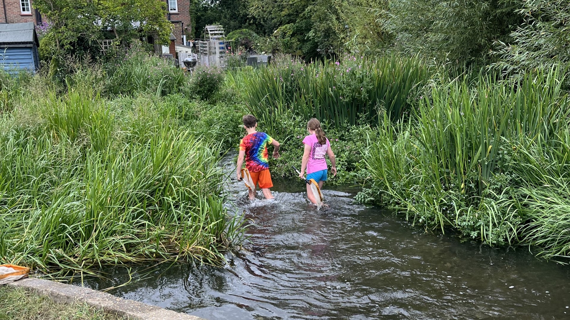 Notice of planned works to the River Chess at Chesham Moor Chalk