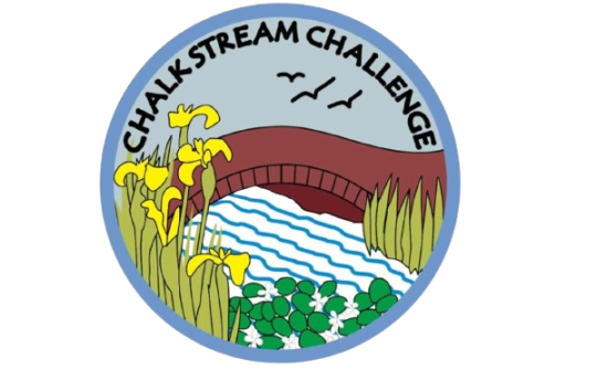 chalk-stream-challenge_badge-removebg-preview