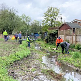 Wild about Chesham Moor