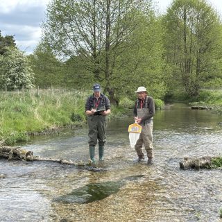 Job Vacancy- Citizen Science Coordinator (Chalk Streams)