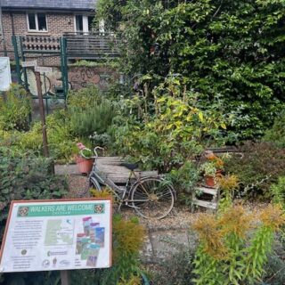 Garden designers required!