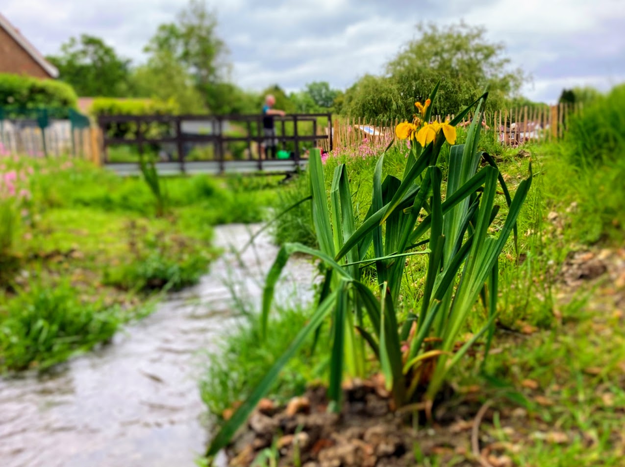 River Restoration at Chesham Moor