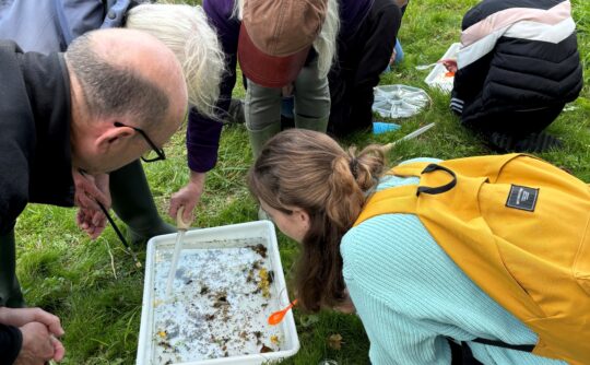 RiverFly Boxmoor-Bulbourne October 2024 13
