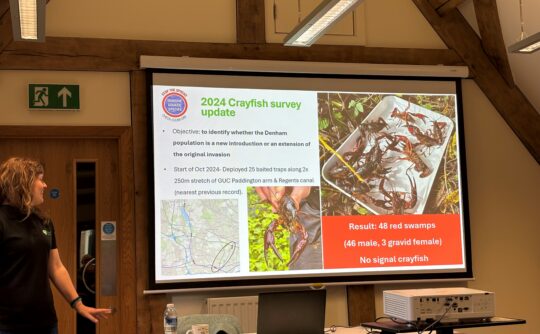 RiverFly Boxmoor-Bulbourne October 2024 9