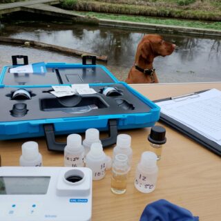 Ewelme Brook: Citizen science spotlight