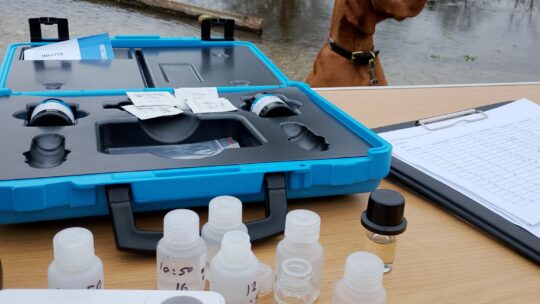 Ewelme Brook: Citizen science spotlight