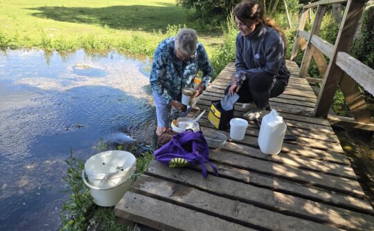 SmartRiver on the Misbourne