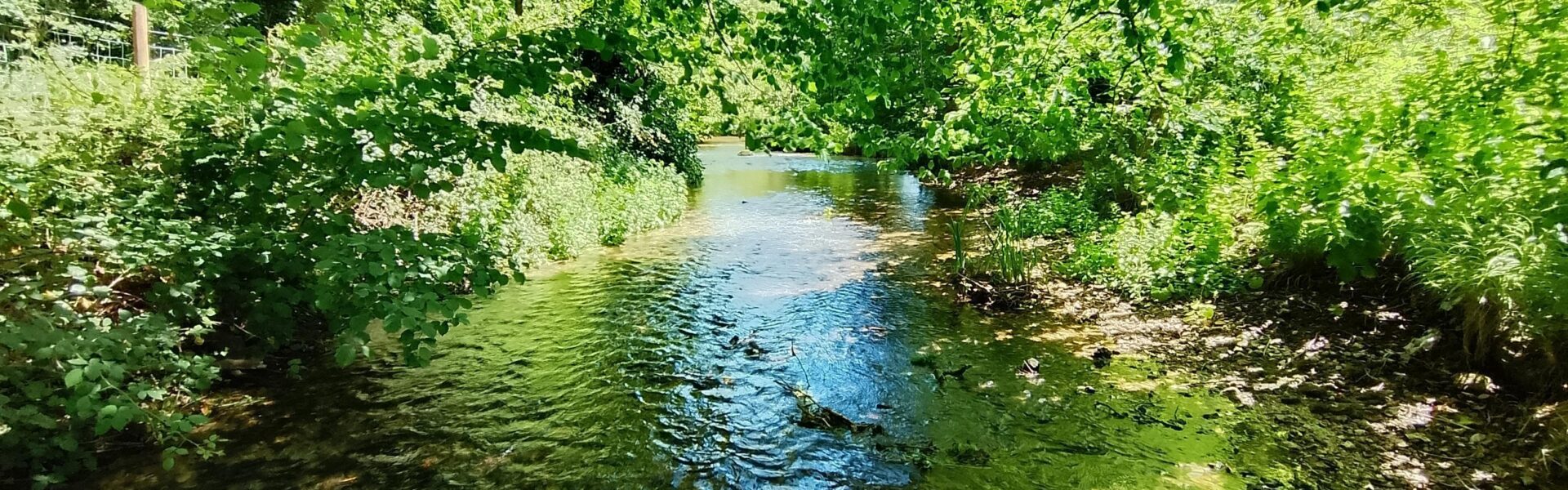 Go with the flow - get involved with CrowdWater!