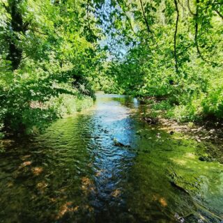 Go with the flow - get involved with CrowdWater!