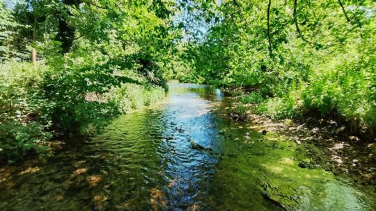Go with the flow - get involved with CrowdWater!
