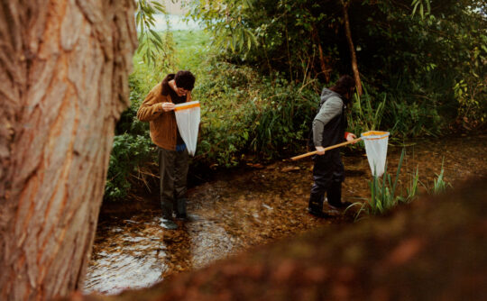 NBY_WORLDRIVERSDAY_09.25_16