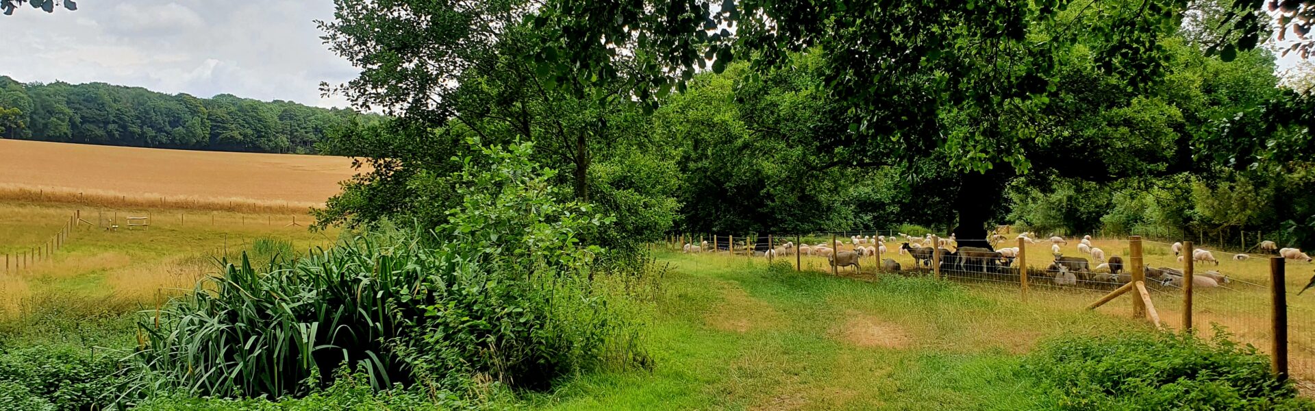 Chess Smarter Water Catchment Landowner and Farming - Open Now!!