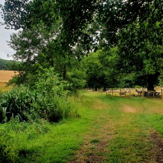 Chess Smarter Water Catchment Landowner and Farming - Open Now!!