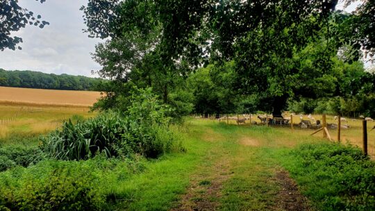 Chess Smarter Water Catchment Landowner and Farming - Open Now!!